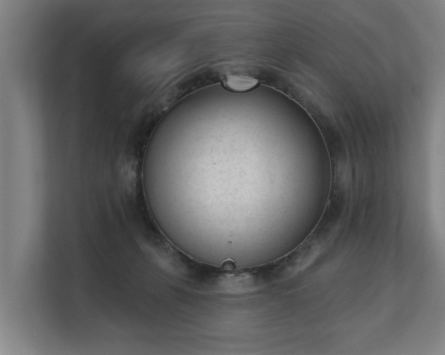 X0000111610271200907241015