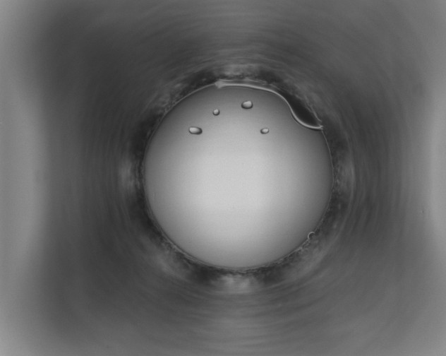 X0000111610272200907241015