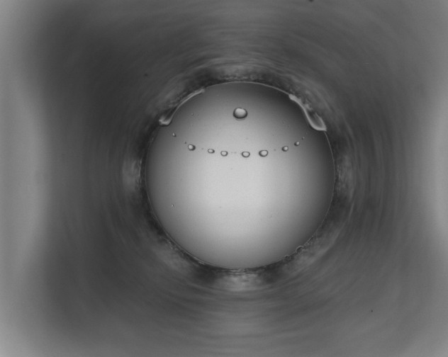 X0000111610278200907241016