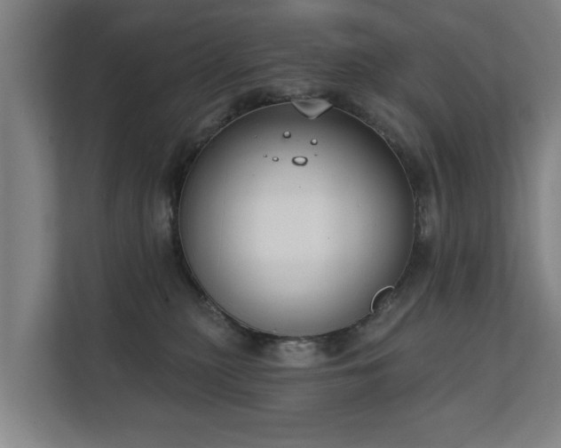 X0000111610279200907241016