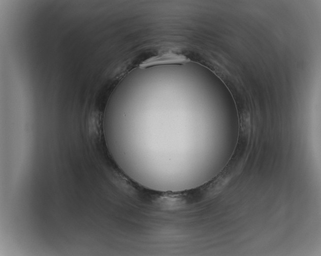 X0000111610280200907241016