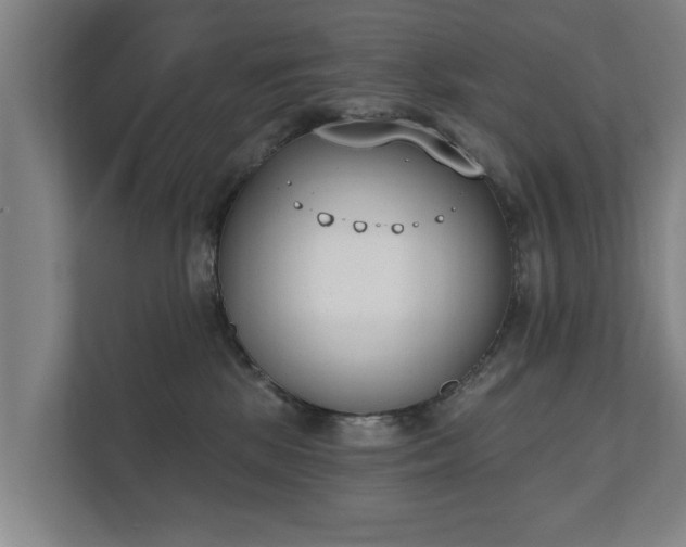 X0000111610281200907241016