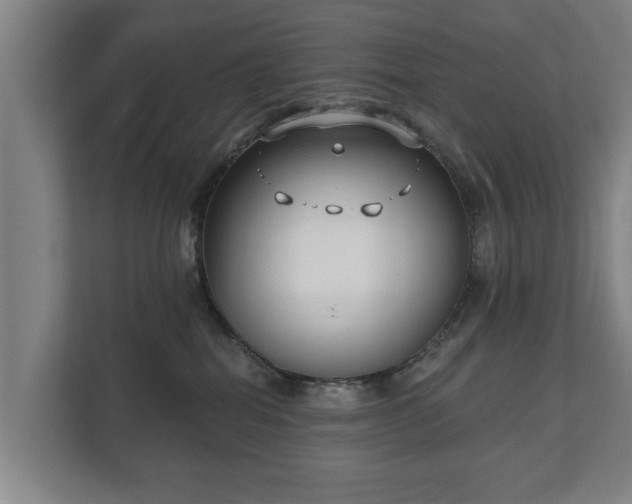 X0000111610282200907241016