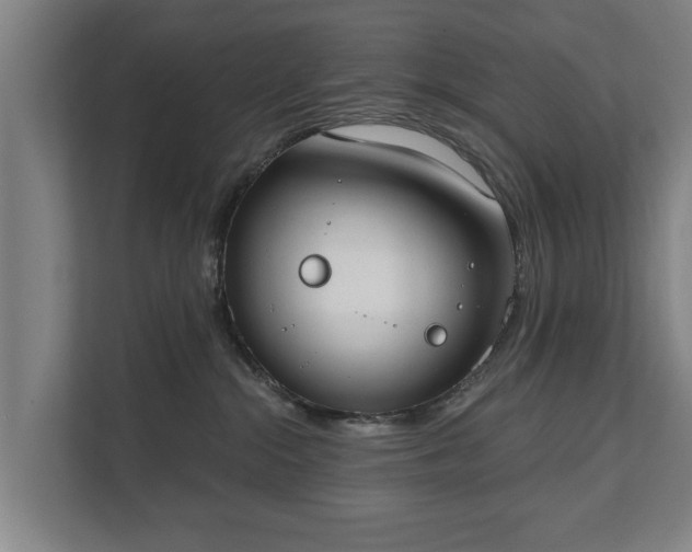 X0000111610284200907241016