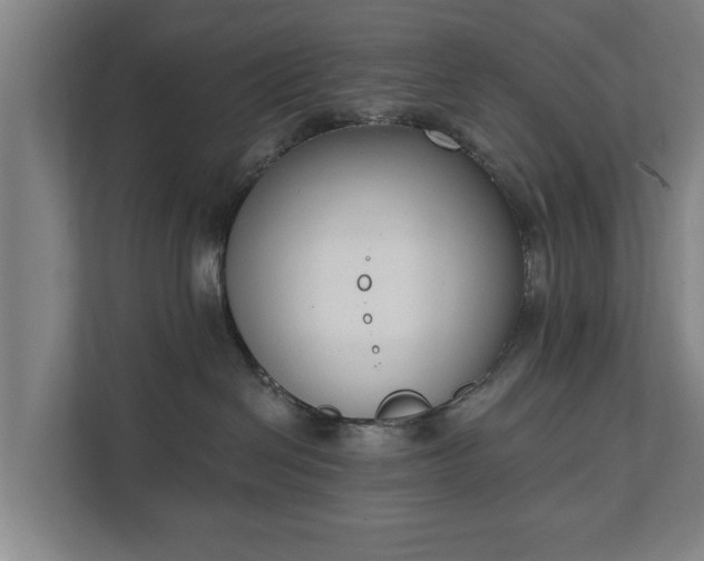 X0000111610286200907241016