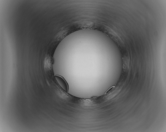 X0000111610287200907241016