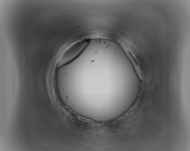 X0000111610289200907241015