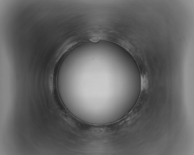 X0000111610291200907241015