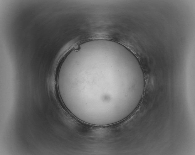X0000111610293200907241015