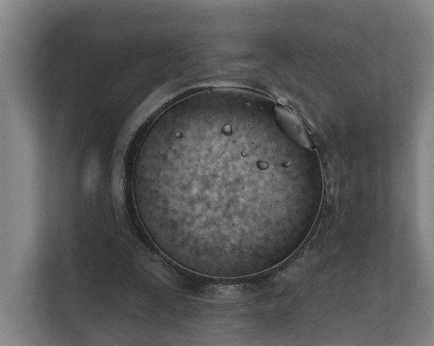 X0000111610295200907241015