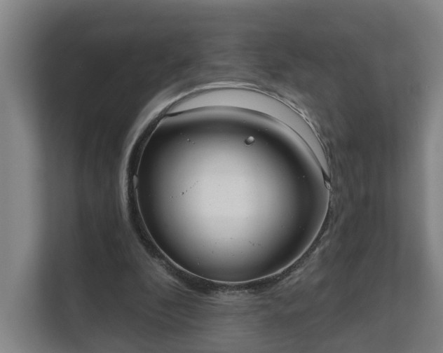 X0000111610296200907241015