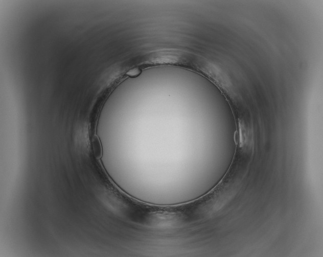 X0000111610300200907241015