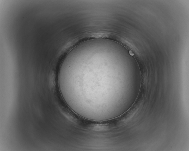 X0000111610303200907241015