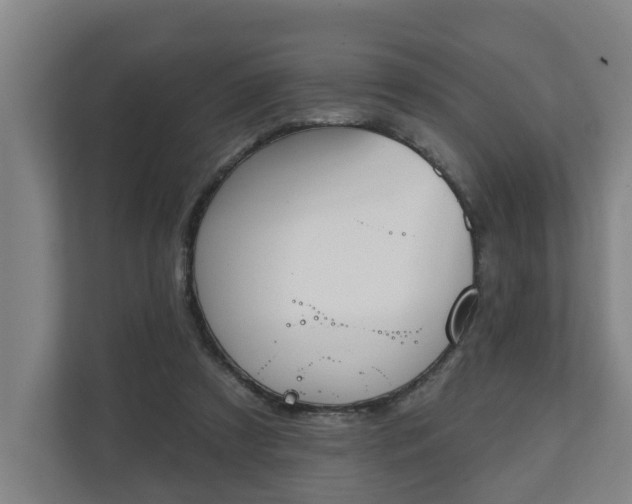 X0000111610305200907241015