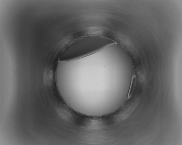 X0000111610308200907241015