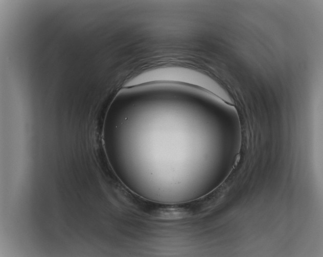 X0000111610316200907241015
