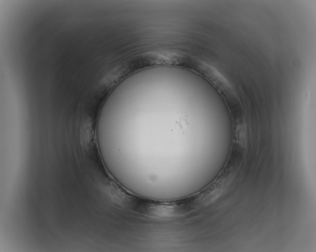 X0000111610318200907241015