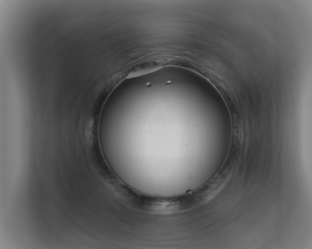 X0000111610319200907241015