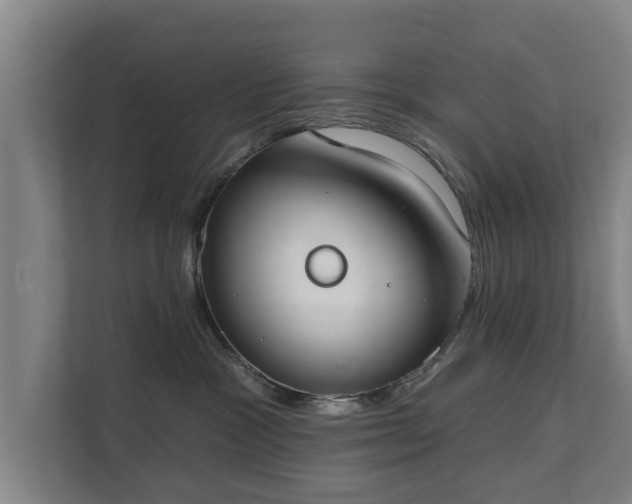 X0000111610333200907241014
