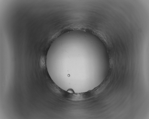 X0000111610335200907241014