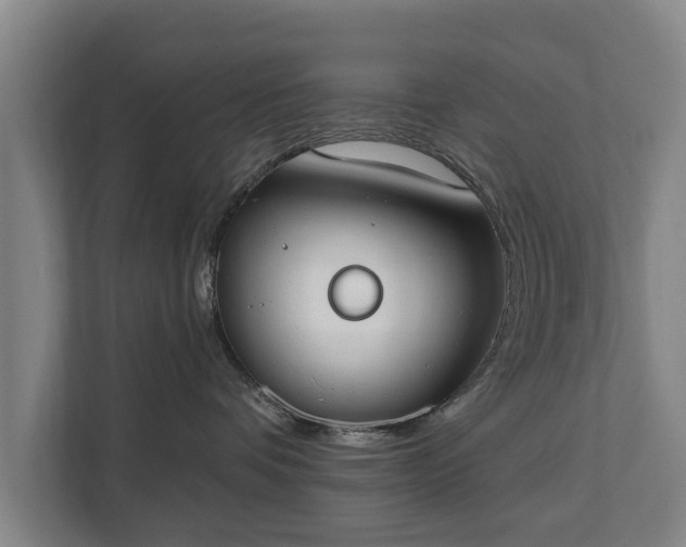 X0000111610336200907241014