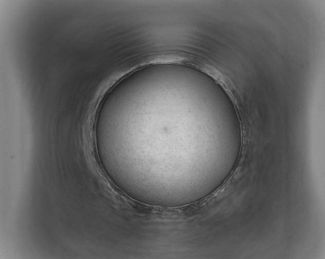 X0000111610337200907241014