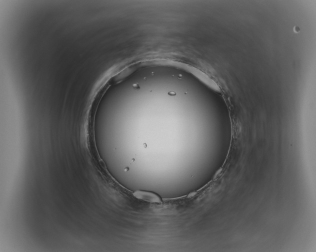 X0000111610340200907241014