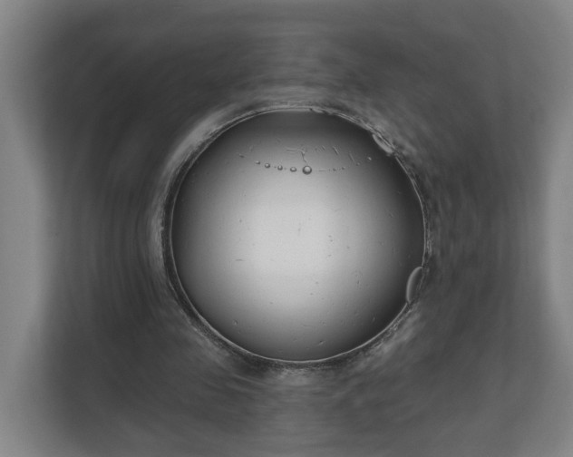 X0000111610341200907241014