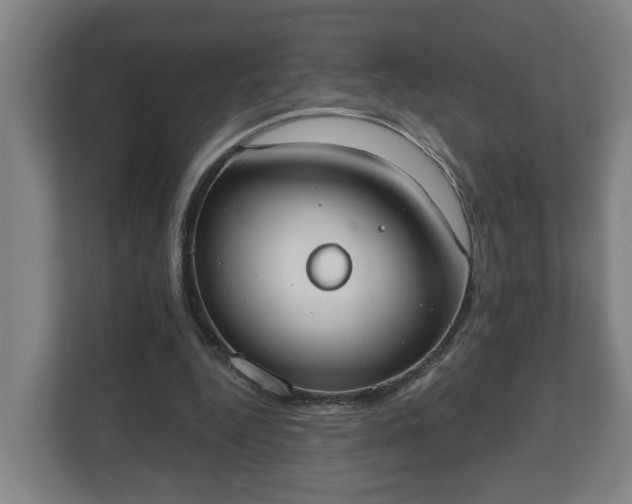 X0000111610344200907241014