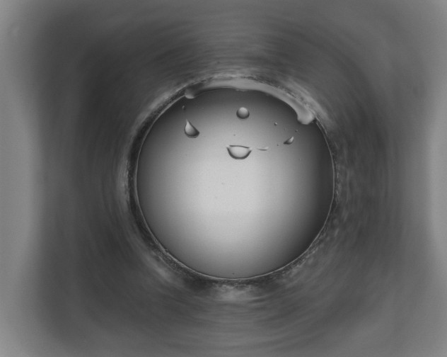 X0000111610346200907241014