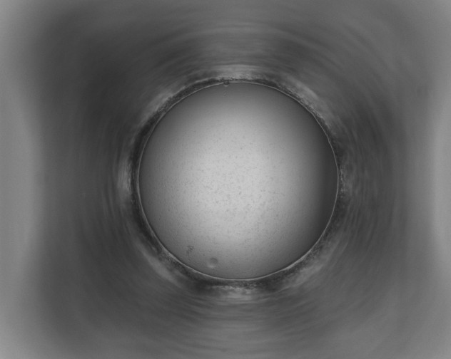 X0000111610347200907241014