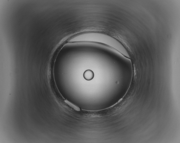 X0000111610348200907241014