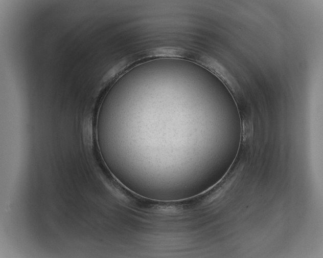 X0000111610349200907241014