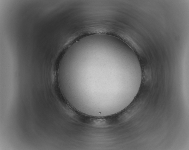 X0000111610355200907241014