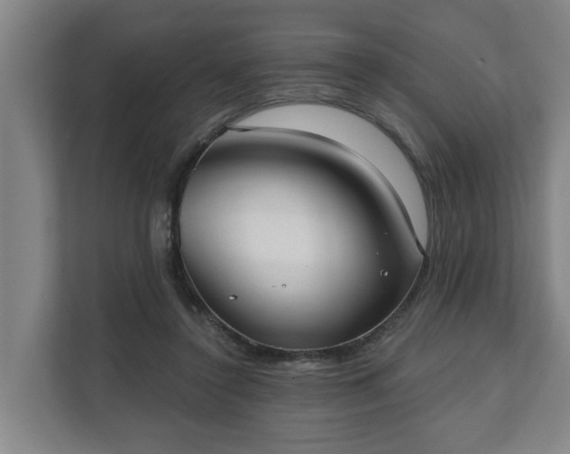 X0000111610356200907241014