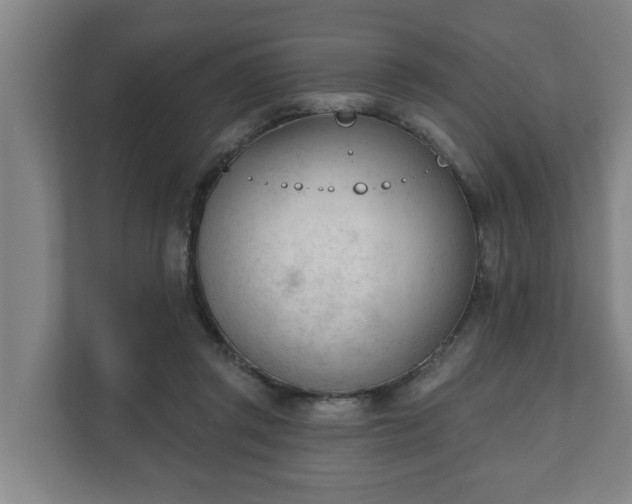 X0000111610357200907241014