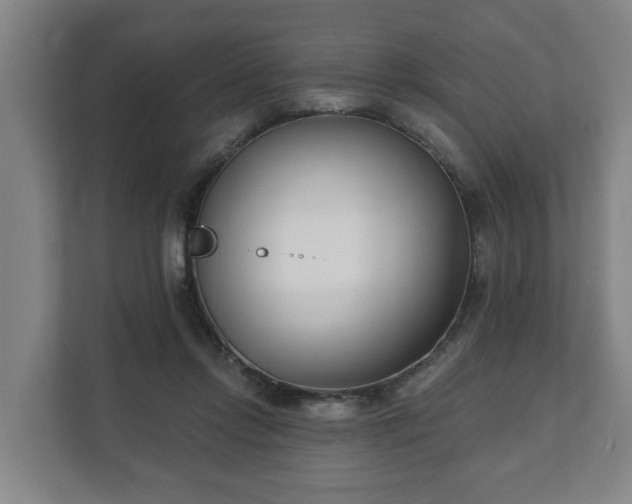 X0000111610358200907241014