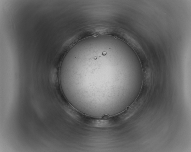 X0000111610361200907241014
