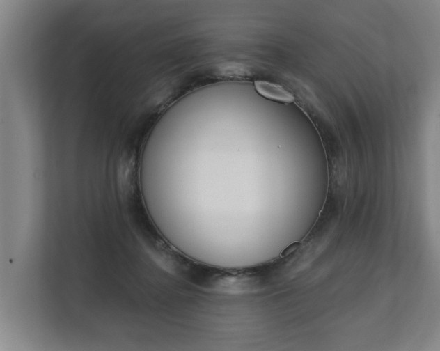 X0000111610364200907241014
