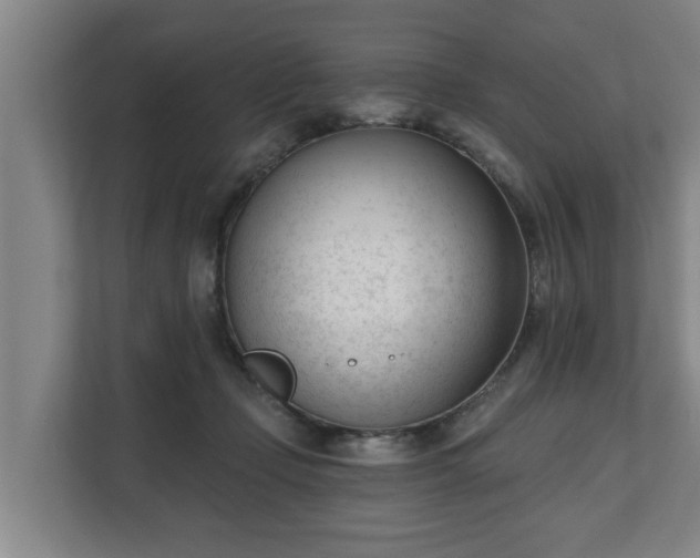 X0000111610365200907241014