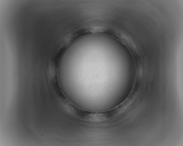 X0000111610367200907241014