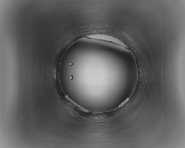 X0000111610368200907241014