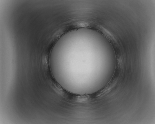 X0000111610373200907241014