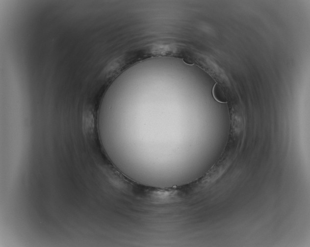 X0000111610375200907241014