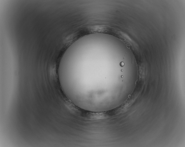 X0000111610377200907241014