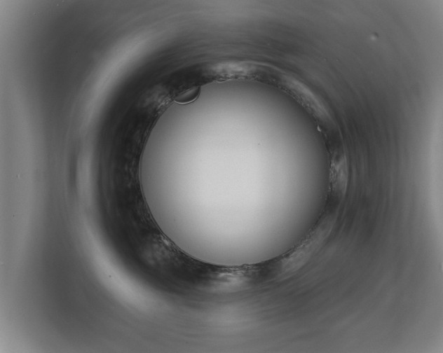 X0000111610381200907241014