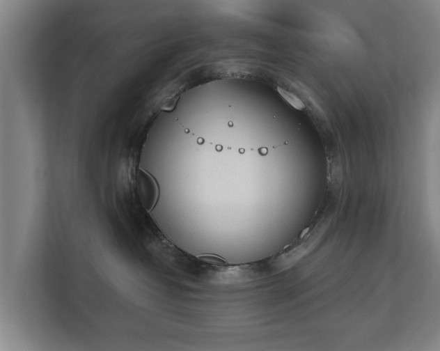 X0000111610382200907241014