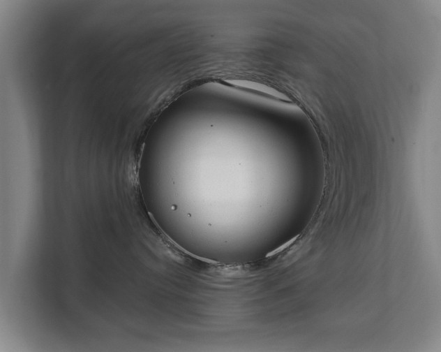 X0000111610384200907241014