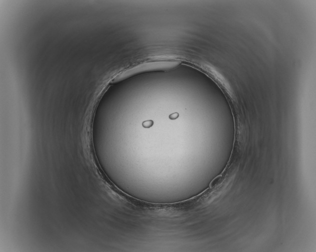 X0000111610385200907241014