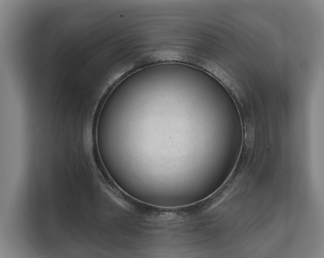 X0000111610390200907241014